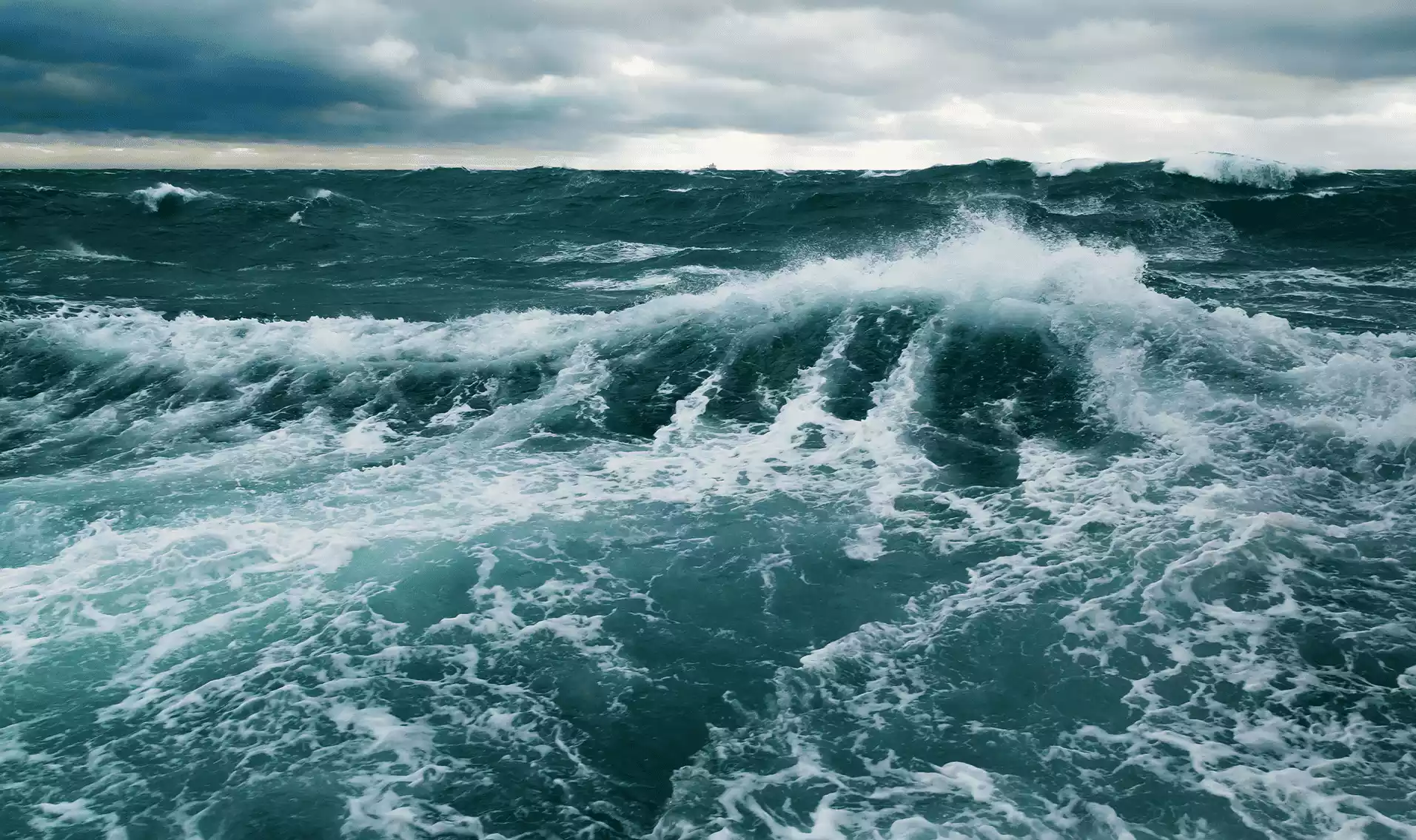 Sea levels have risen by approximately 8 inches since the late 19th
        century