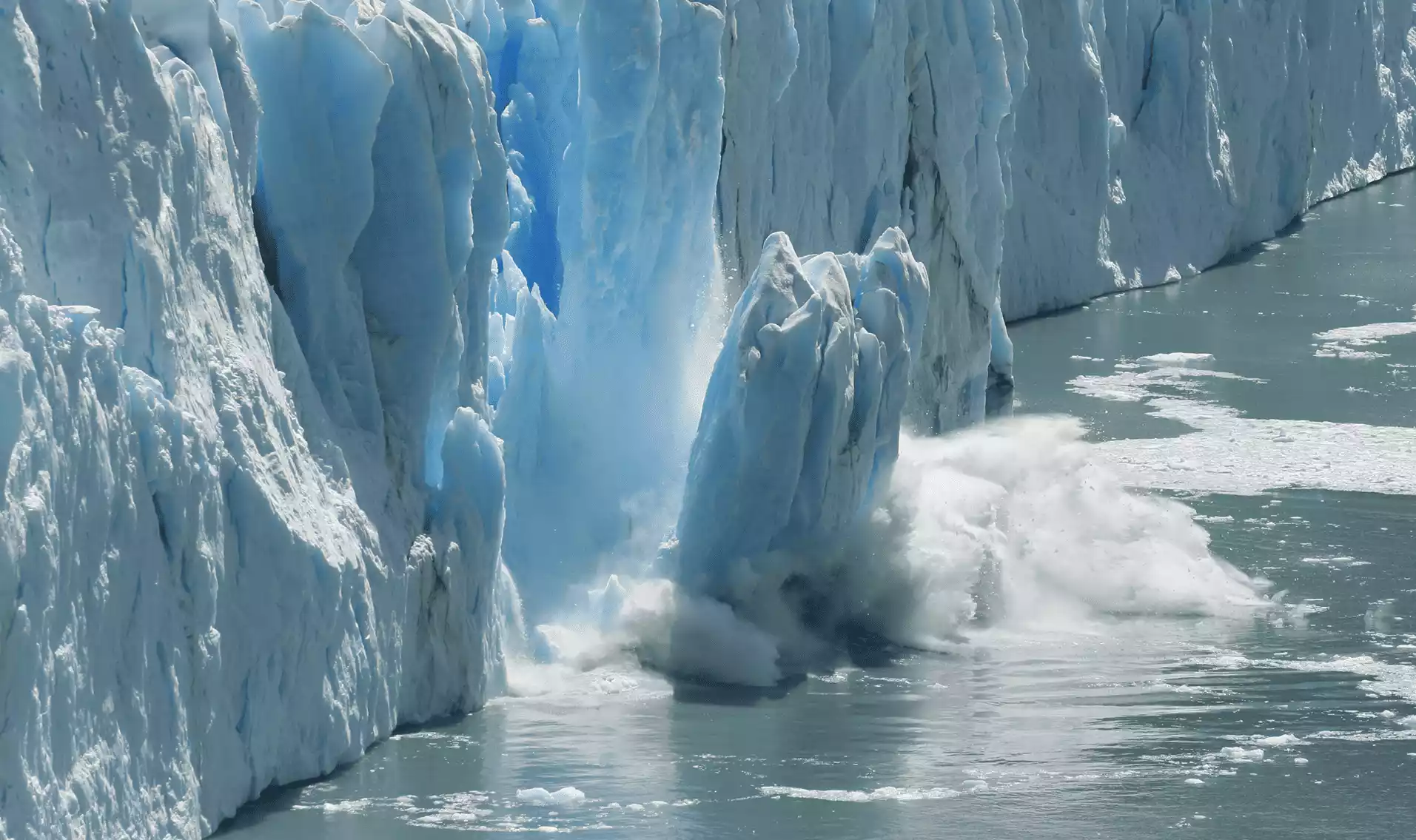 The Arctic sea ice extent has declined rapidly
