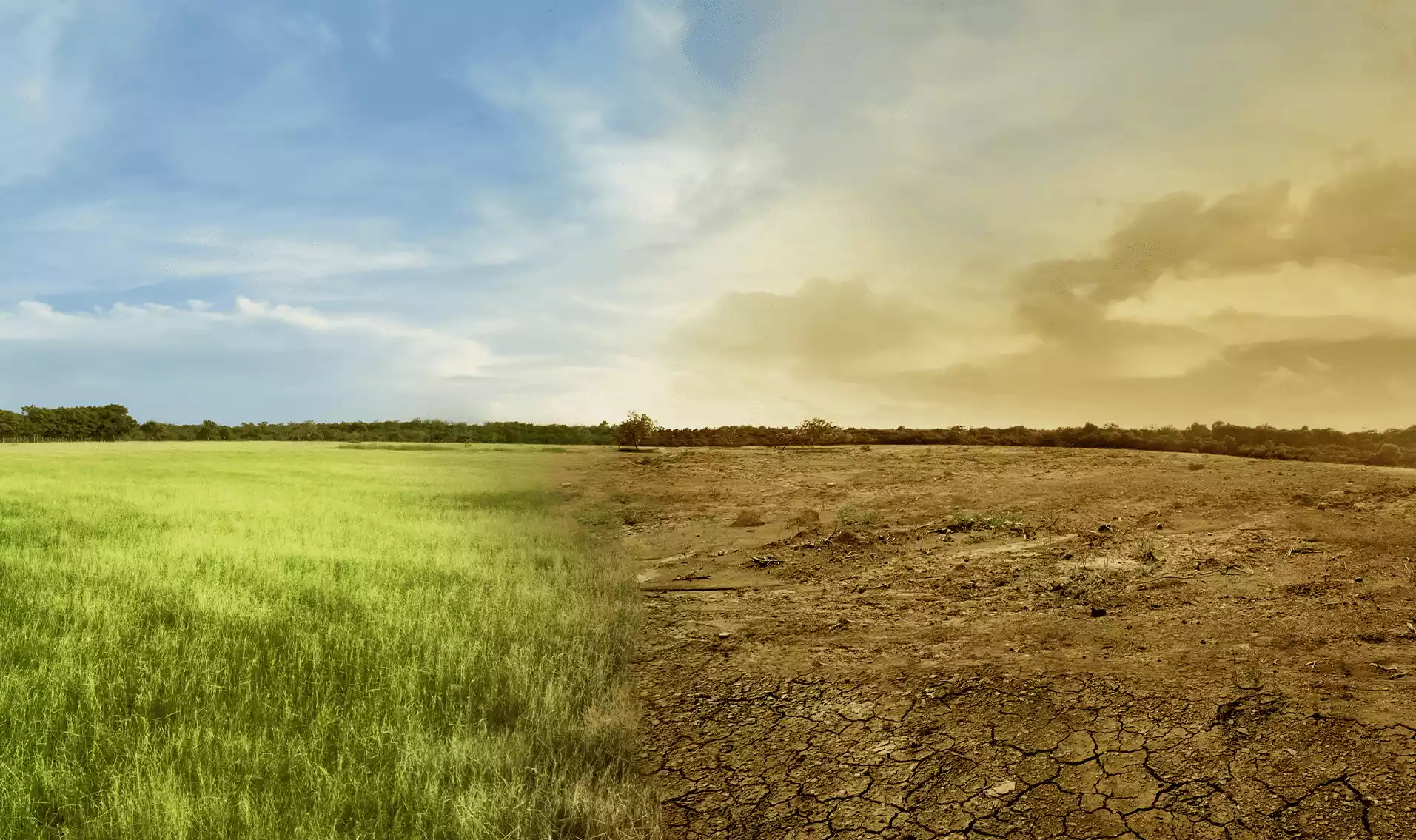 limate change could lead to an annual loss of $1.2 trillion for
        businesses in sectors such as agriculture